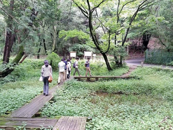トトロの森 橋